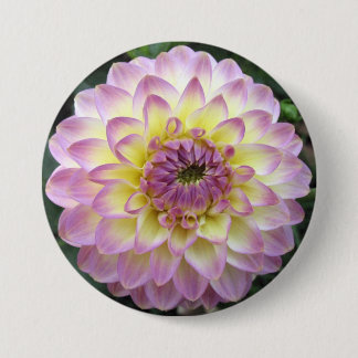 Klare Lavendel-Creme-Dahlie Button