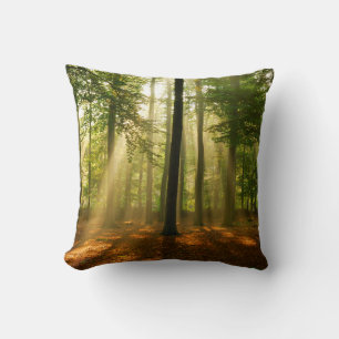 Klare Lichtstrahlen, die durch den Wald strahlen  Kissen