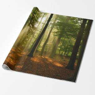 Klare Lichtstrahlen scheinen durch den Wald in Geschenkpapier