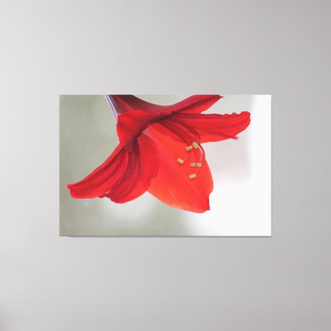 Klasse Bloral Print Leinwanddruck (Vorderseite)