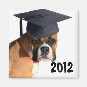 Klasse graduierten Magneten 2012 des Boxers Magnet