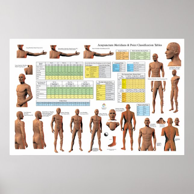 Klassifizierung der Punkte für akupuncture Meridia Poster (Vorne)