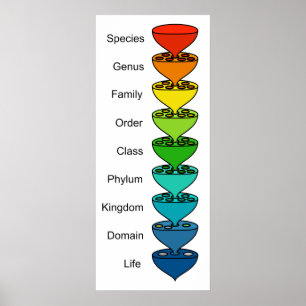 Klassifizierung des Diversity der Bio Lebenskurve Poster