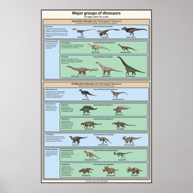 Klassifizierung von Dinosauriern vereinfacht Poster (Vorne)