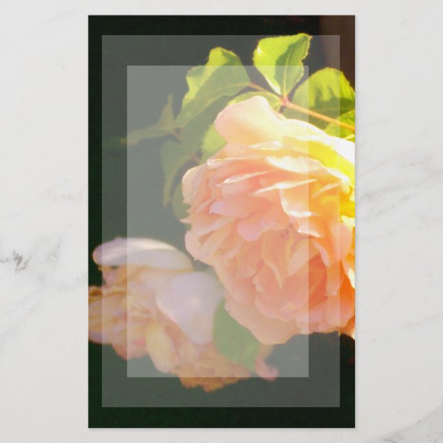 Klassisch orange pfirsichfarbene Rose Briefpapier (Vorderseite)
