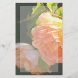 Klassisch orange pfirsichfarbene Rose Briefpapier