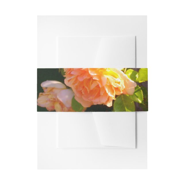 Klassisch orange pfirsichfarbene Rose Einladungsbanderole (Vorderseite Beispiel)