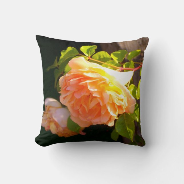 Klassisch orange pfirsichfarbene Rose Kissen (Vorderseite)