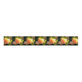 Klassisch orange pfirsichfarbene Rose Ripsband