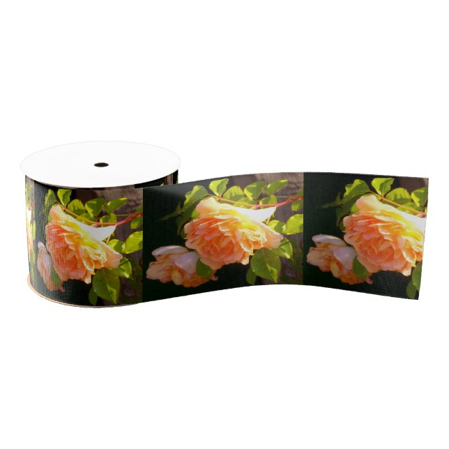 Klassisch orange pfirsichfarbene Rose Ripsband (Spule)