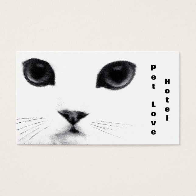 Klassische Cat-Features (Vorderseite)