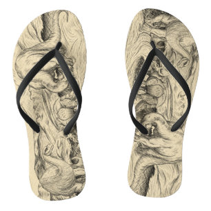 Klassische Dinosaurier Flip Flops