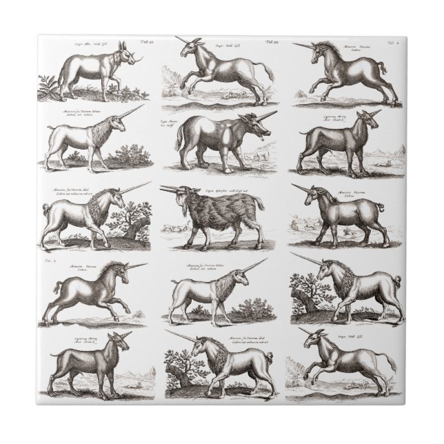 Klassische Einhorn Antike Mythische Magische Kreat Fliese (Vorderseite)
