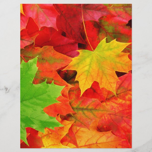 Klassische Farbe Herbst Herbstleaf Print (Vorderseite)