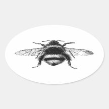 Klassische Hummel