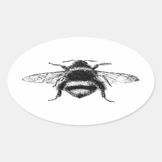 Klassische Hummel Ovaler Aufkleber