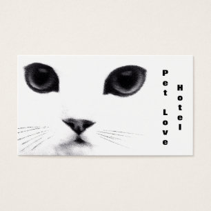 Klassische Katzen-Eigenschaften