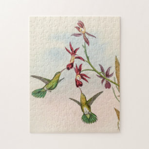 Klassische Kolibris von John Gould