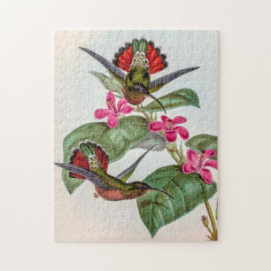Klassische Kolibris von John Gould