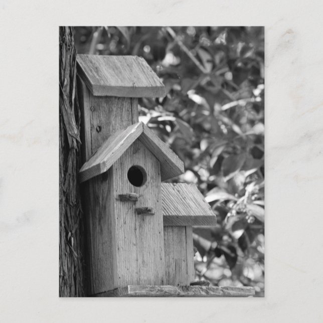 Klassische Länderkarte Postkarte (Vorderseite)