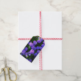 Klassische Lila Hydrangea-Geschenkmarke Geschenkanhänger
