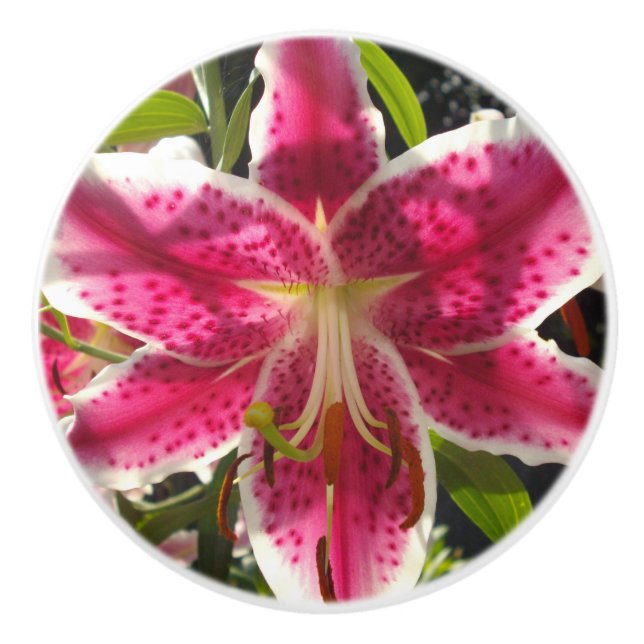 Klassische Lilie mit tropisch rosa Blume Keramikknauf (Vorderseite)