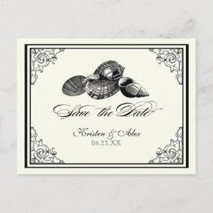 Klassische Muscheln Schwarzer Creme Save the Date  Ankündigungspostkarte