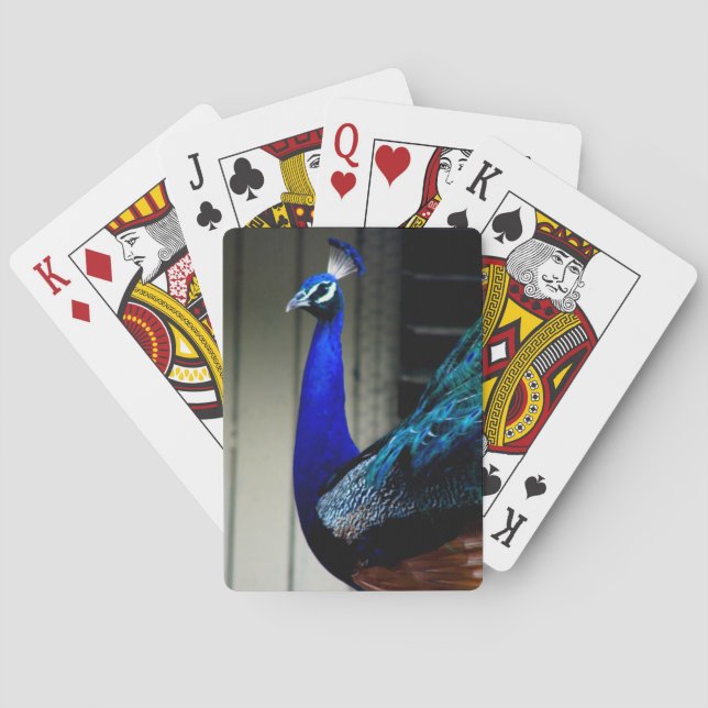 Klassische Pfauenkarten Spielkarten (Rückseite)