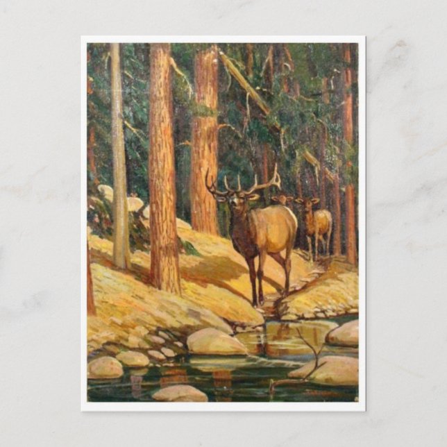 Klassische Postkarte (Vorderseite)