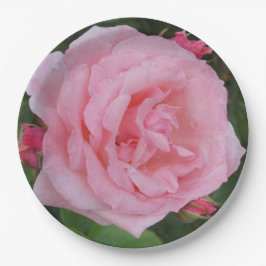 Klassische Rosa Pappteller