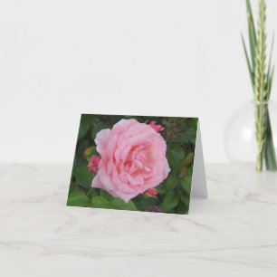 Klassische rosa Rosen-Karte leer gefaltet Dankeskarte