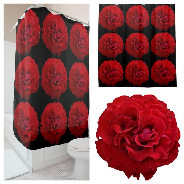 Klassische Rote Rosen dramatische Fotografie Schwa Duschvorhang (Von Creator hochgeladen)