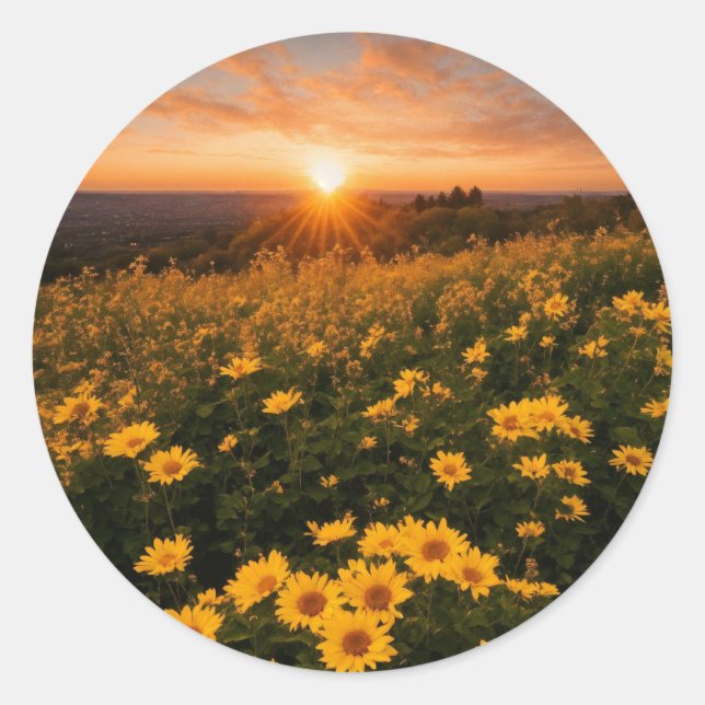 Klassische Round Stickers (Vorderseite)