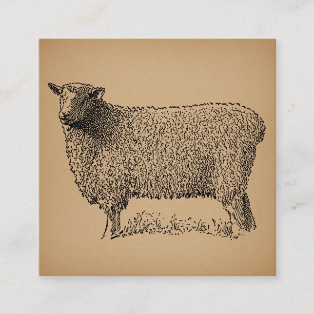 Klassische Schaf-Art-Illustration Antikes Landgut Begleitkarte (Vorderseite)