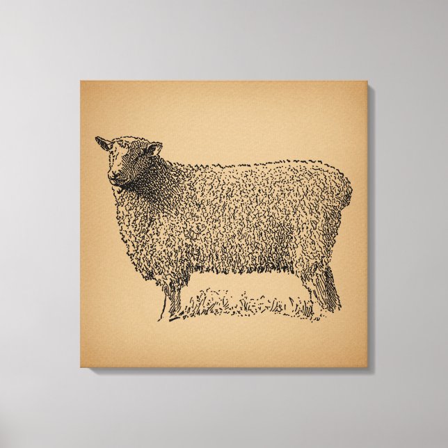 Klassische Schaf-Art-Illustration Antikes Landgut Leinwanddruck (Vorderseite)