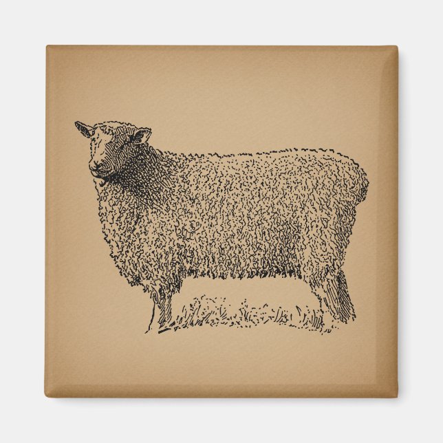 Klassische Schaf-Art-Illustration Antikes Landgut Magnet (Vorne)