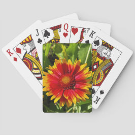 Klassische Spielkarten für Blanketflower