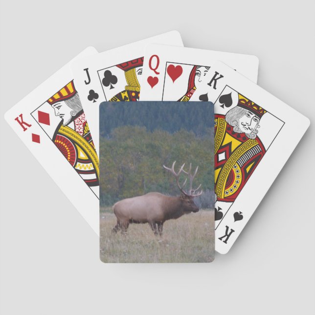 Klassische Spielkarten für Bullenelch (Rückseite)