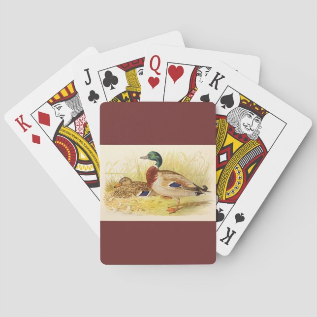 Klassische Spielkarten für Mallard Ducks (Rückseite)