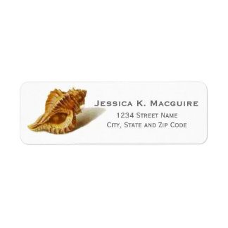 Klassische Vintage Spirale Seashell
