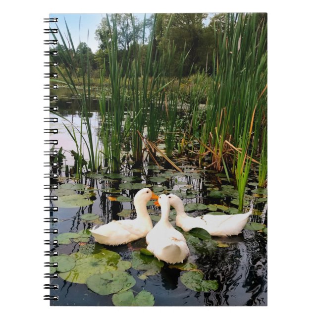 Klassische weiße Enten am schönen See Notizblock (Vorderseite)