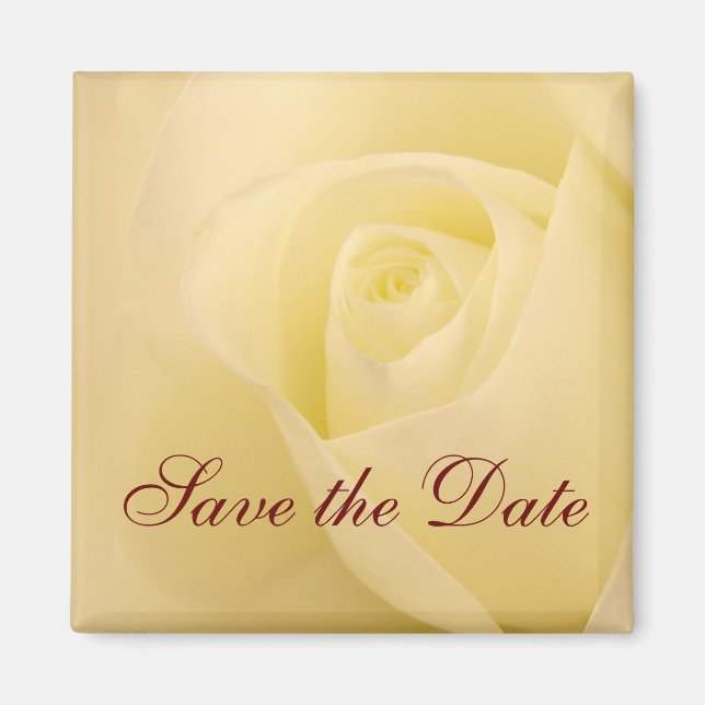 Klassische weiße Rose Save the Date Magnet (Vorne)