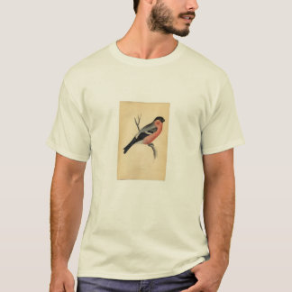 Klassische zoologische Radierung - Bullfinch T-Shirt
