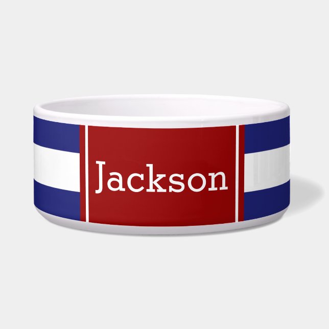 Klassischer blauer und weißer nautischstreifen mit napf (Vorderseite)