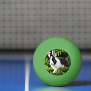 "Klassischer Charme: Das Schwarz-Weiß-Kaninchen" Tischtennisball