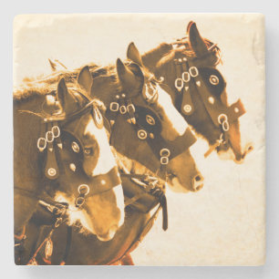 Klassischer Clydesdale Marmor Steinuntersetzer