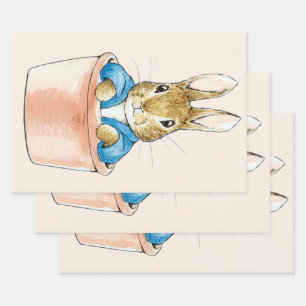 Klassischer Hase blaue Jacke Sitzend im Pflanzkübe Geschenkpapier Set
