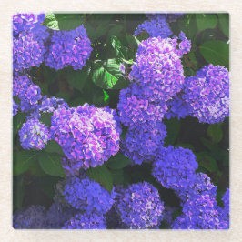 Klassischer Lila-realistischer Hydrangea-Untersetz Glasuntersetzer