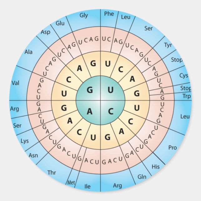 Klassischer Rundaufkleber für genetischen Code Runder Aufkleber (Vorderseite)