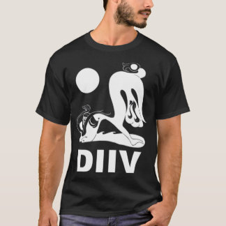 Klassischer T - Shirt DIIV
